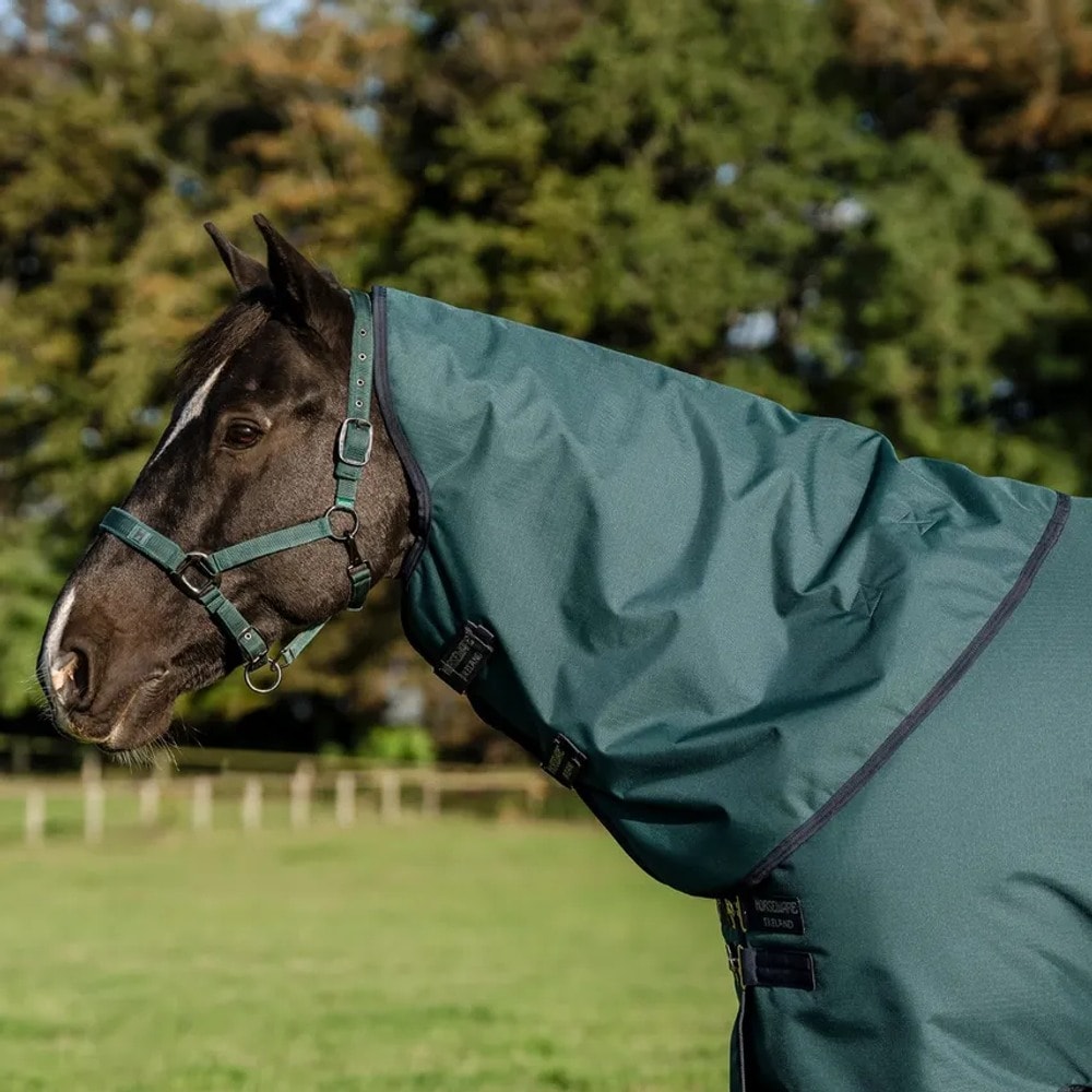 Täcke Amigo Ripstop 900D Plus Turnout 200g Horseware®