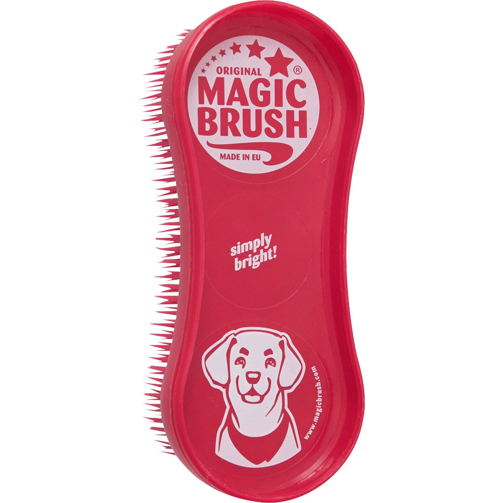 Piggborste Hund  Magic Brush