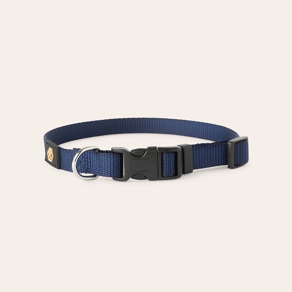 Halsband Hund Colour 2.0 traxx®