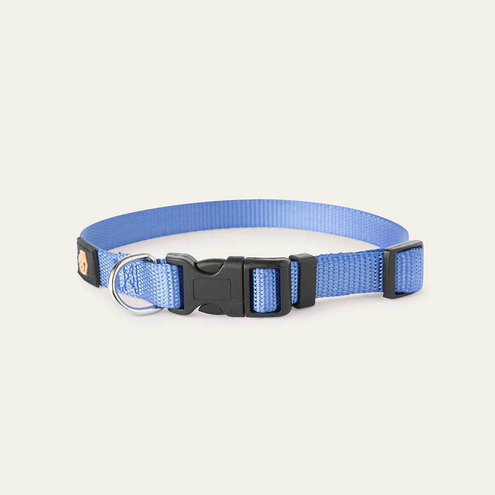 Halsband Hund Colour 2.0 traxx®