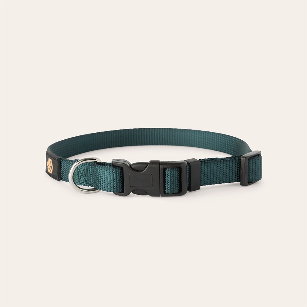 Halsband Hund Colour 2.0 traxx®