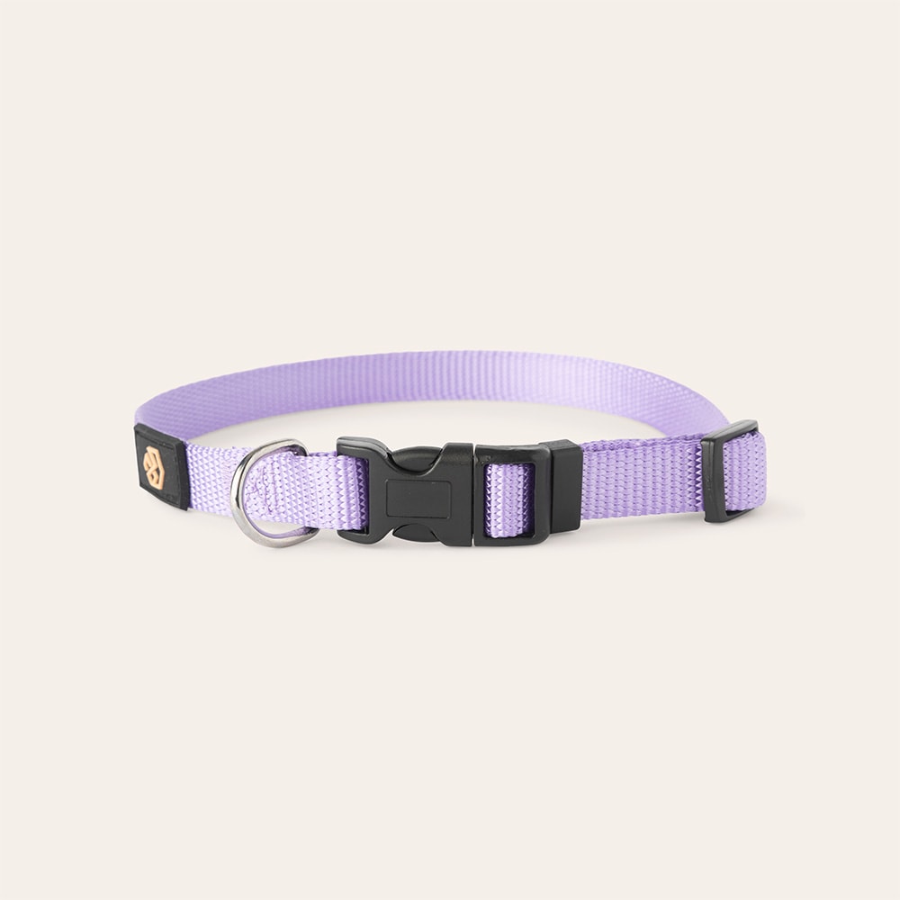 Halsband Hund Colour 2.0 traxx®