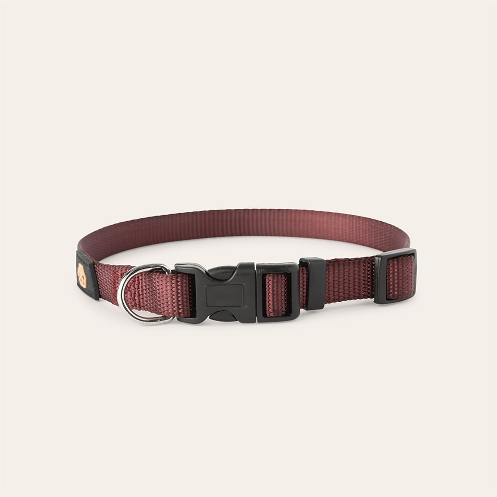 Halsband Hund Colour 2.0 traxx®