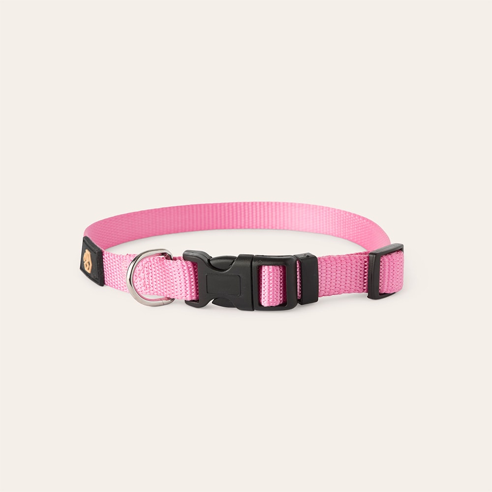 Halsband Hund Colour 2.0 traxx®
