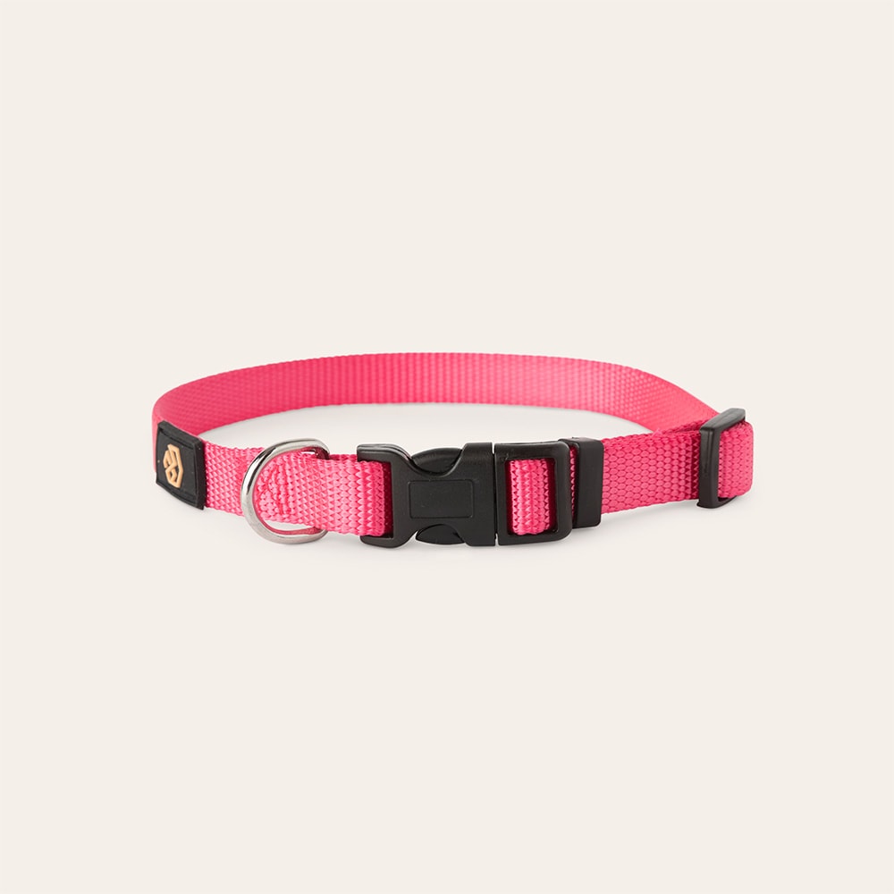 Halsband Hund Colour 2.0 traxx®