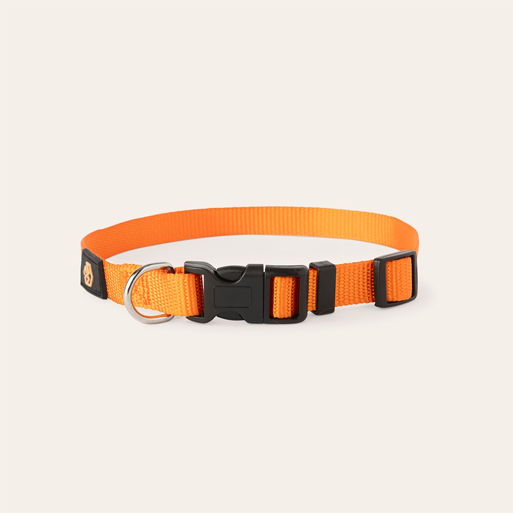 Halsband Hund Colour 2.0 traxx®