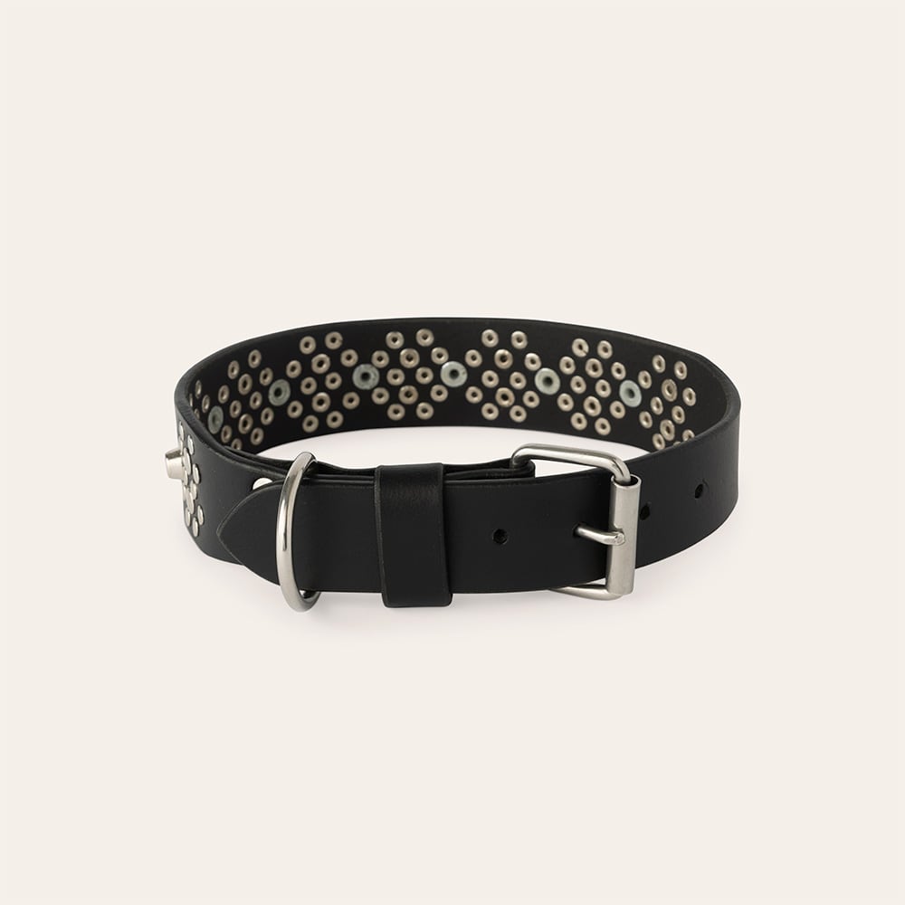 Halsband Hund Niksa traxx®