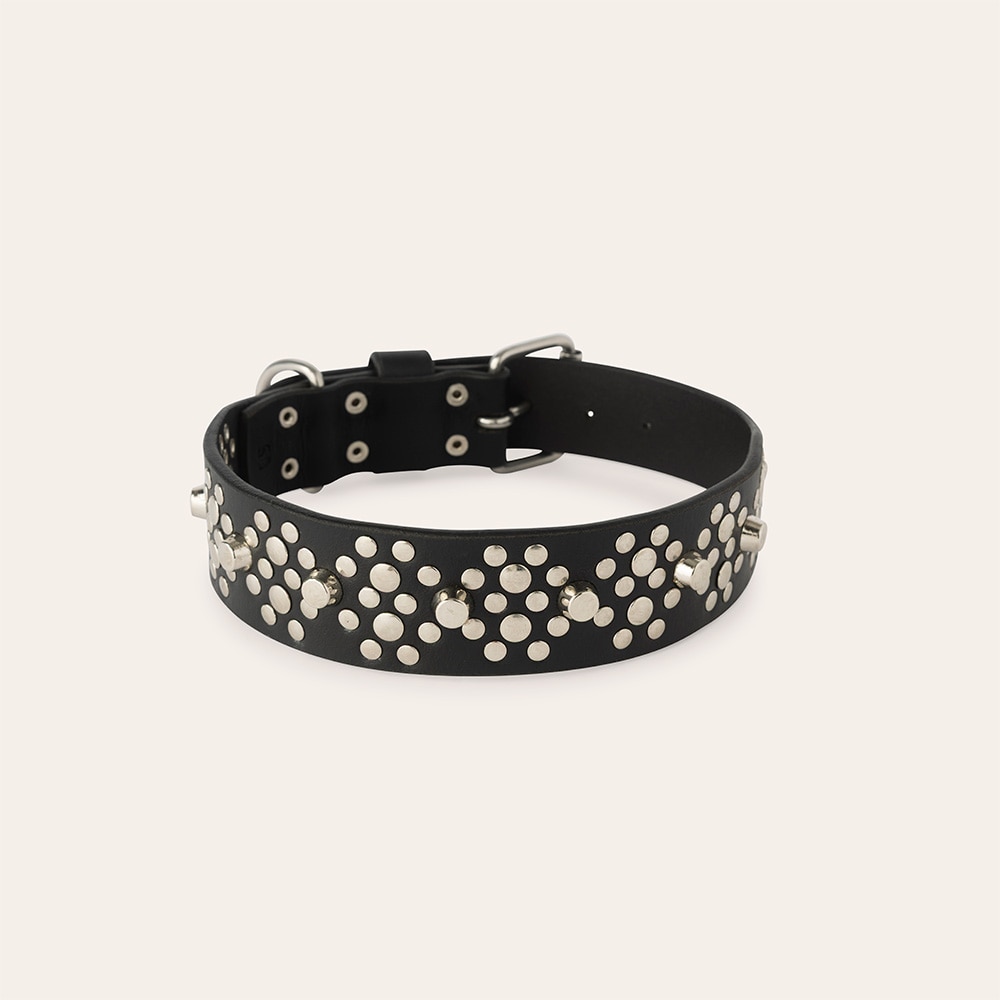 Halsband Hund Niksa traxx®