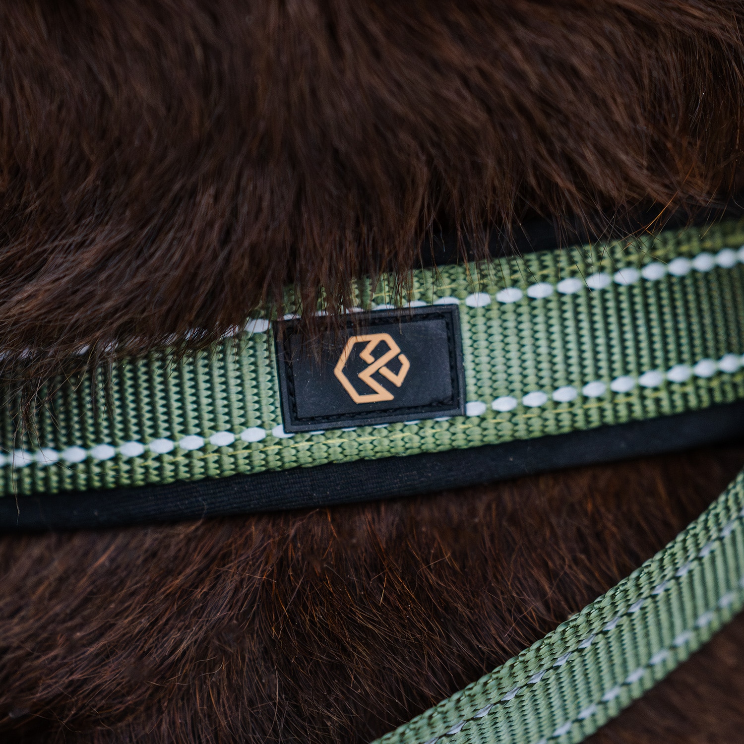 Hundsele Base 2.0 traxx®