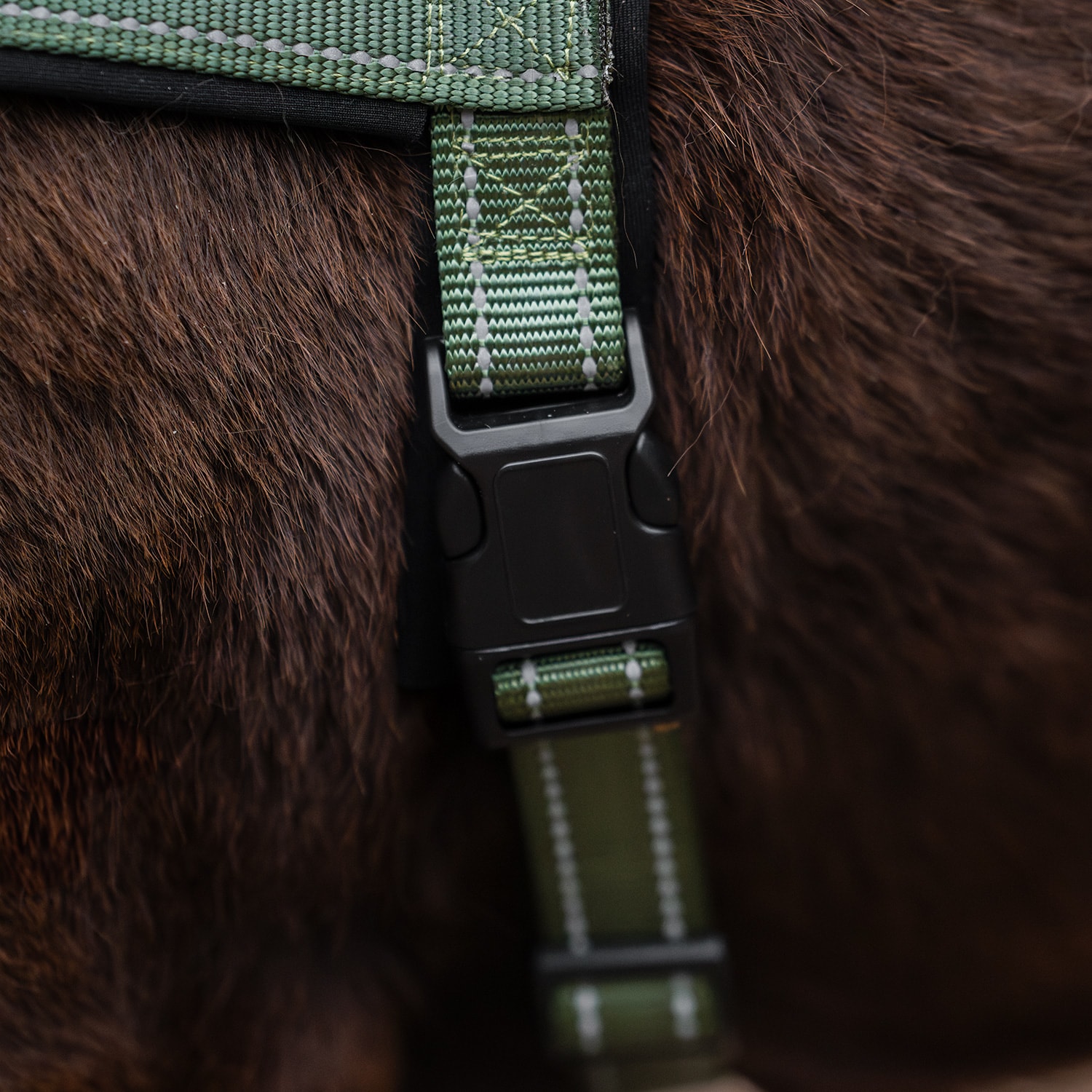 Hundsele Base 2.0 traxx®