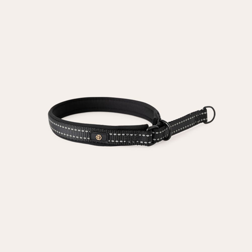 Halsband Hund Base 2.0 traxx®