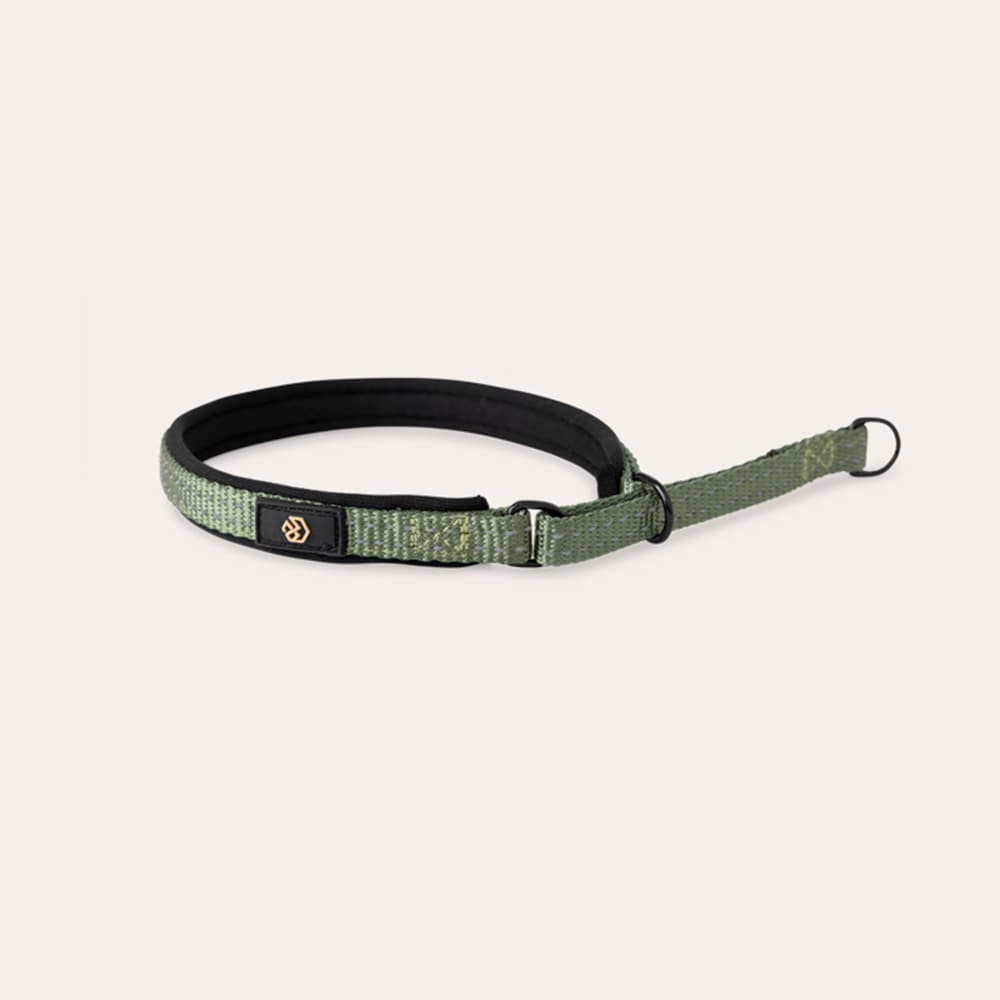 Halsband Hund Base 2.0 traxx®