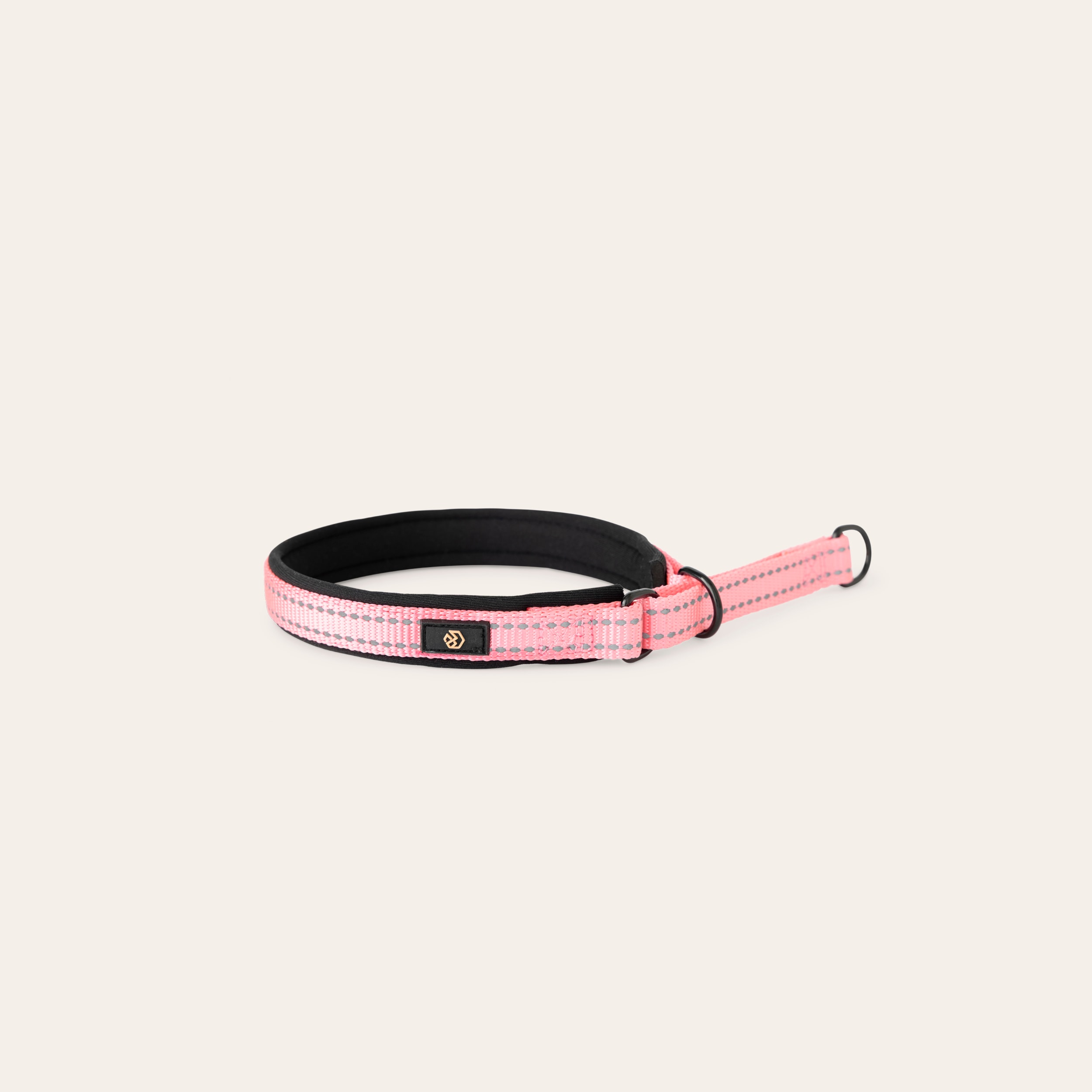 Halsband Hund Base 2.0 traxx®