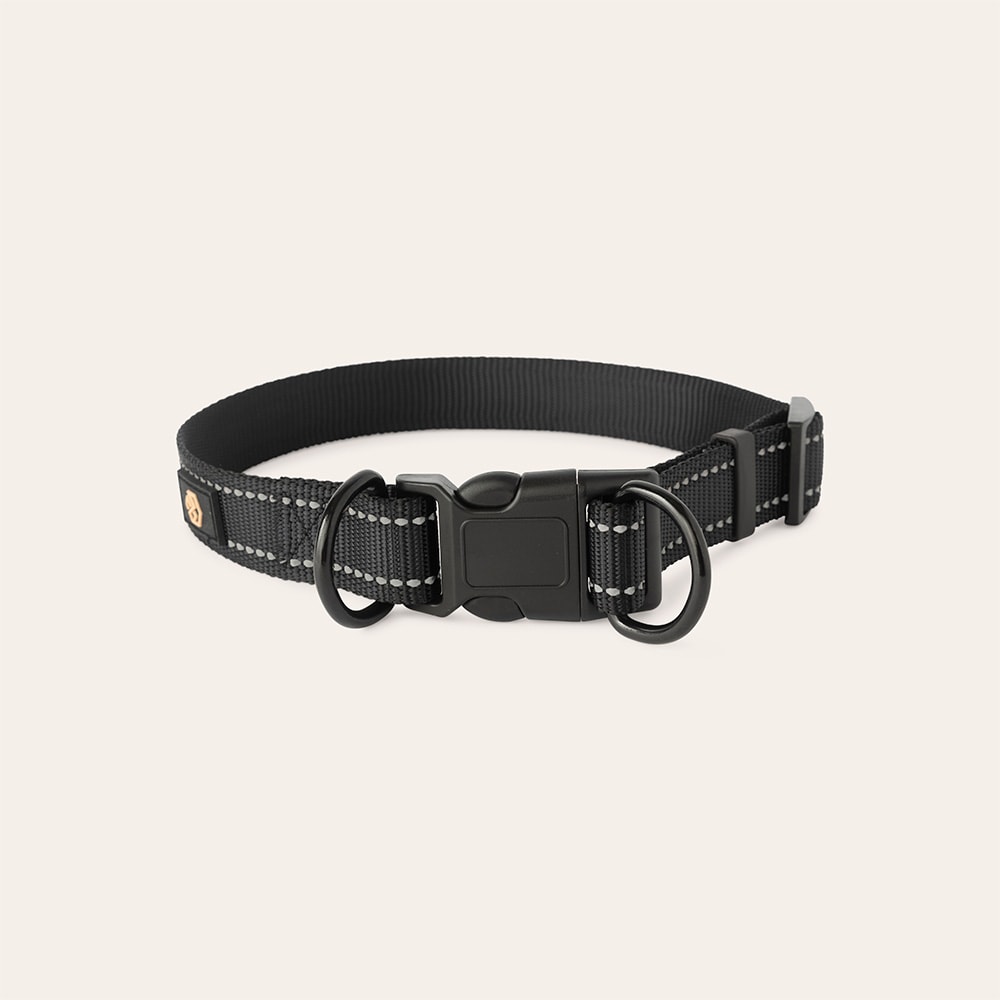 Halsband och koppel Hund Traxx Base Multi 2.0 Halsband traxx®