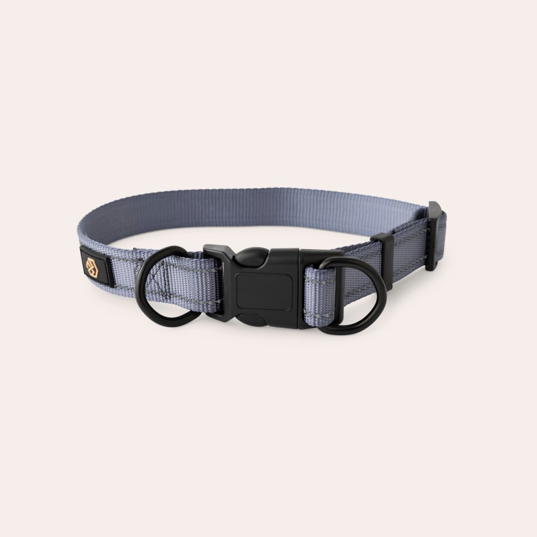 Halsband Hund Base Multi 2.0 traxx®