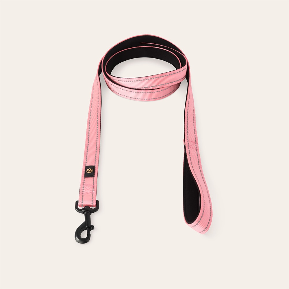 Halsband och koppel  Traxx Base Multi 2.0 Koppel traxx®