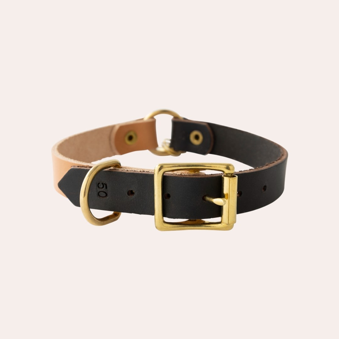 Halsband Hund <p>Diana</p> Alac
