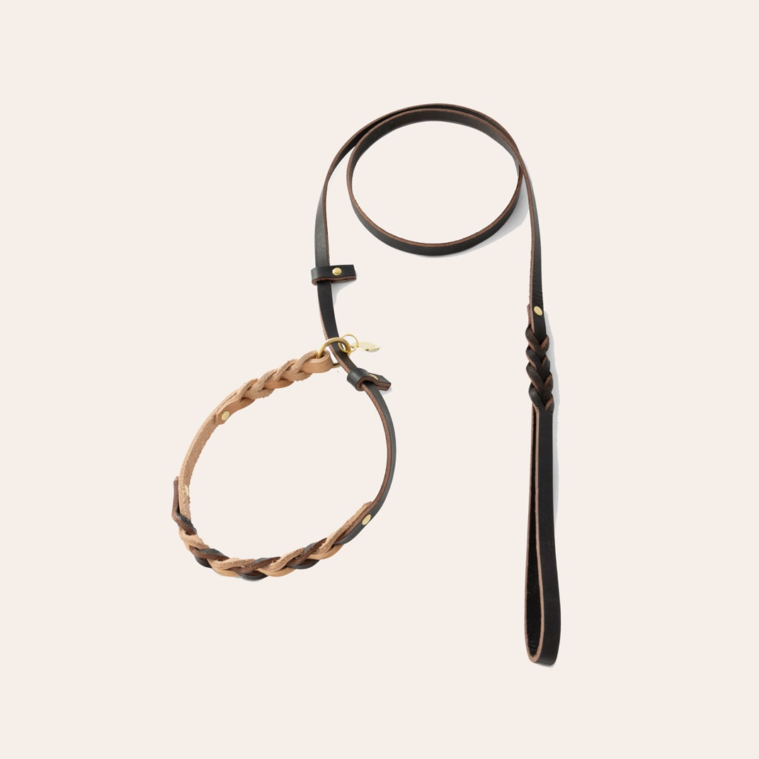 Halsband och koppel Hund Felipe Retriever Alac