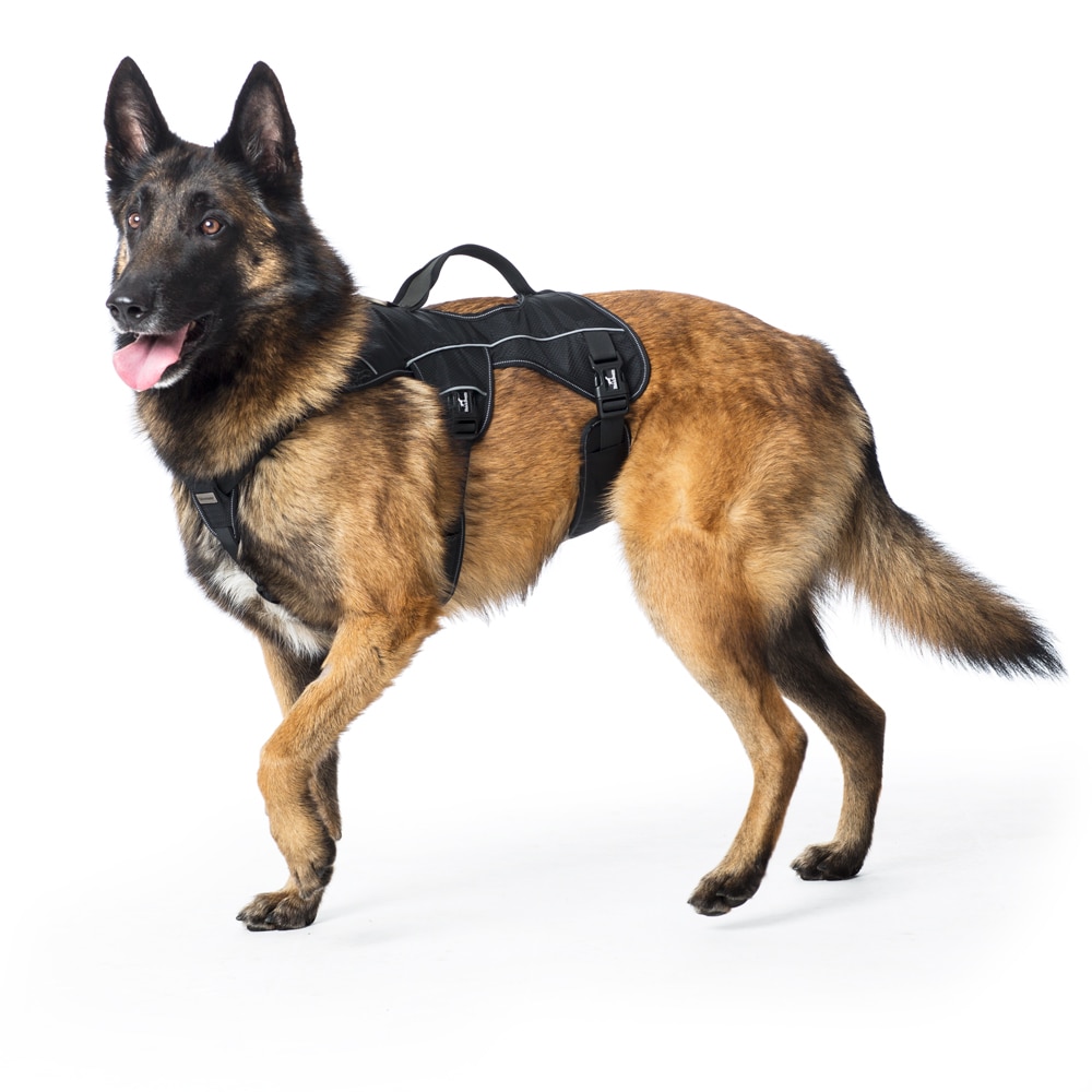 Hundsele  Trekking traxx®