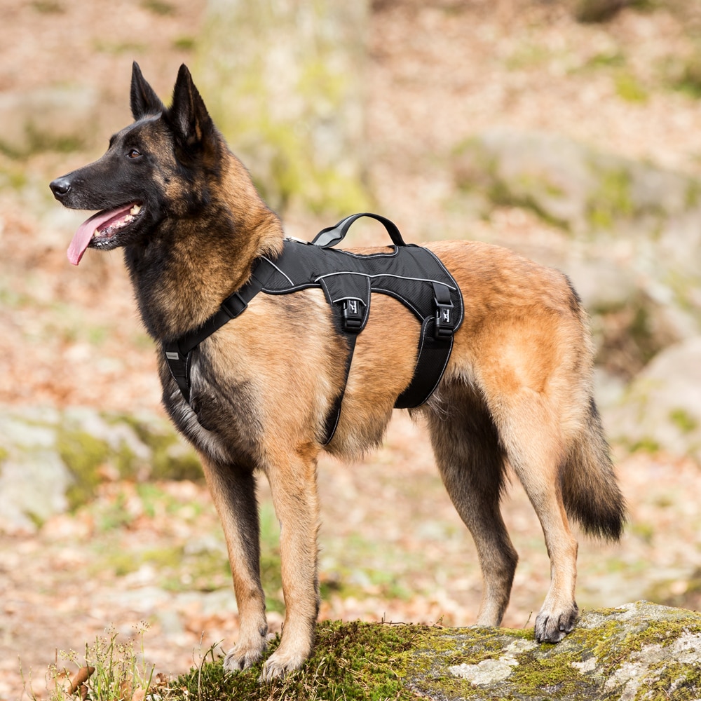 Hundsele  Trekking traxx®