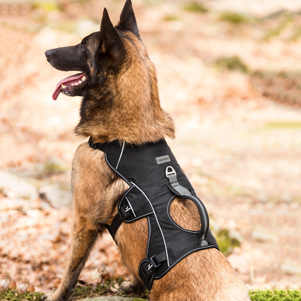 Hundsele  Trekking traxx®