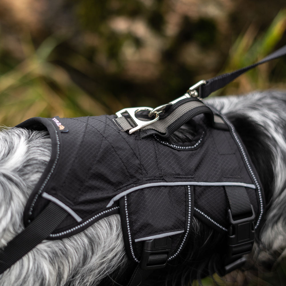 Hundsele  Trekking traxx®