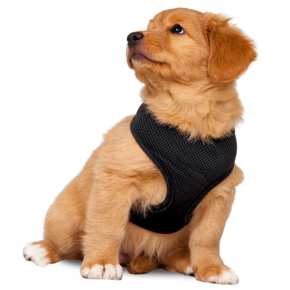 Hundsele  Puppy traxx®