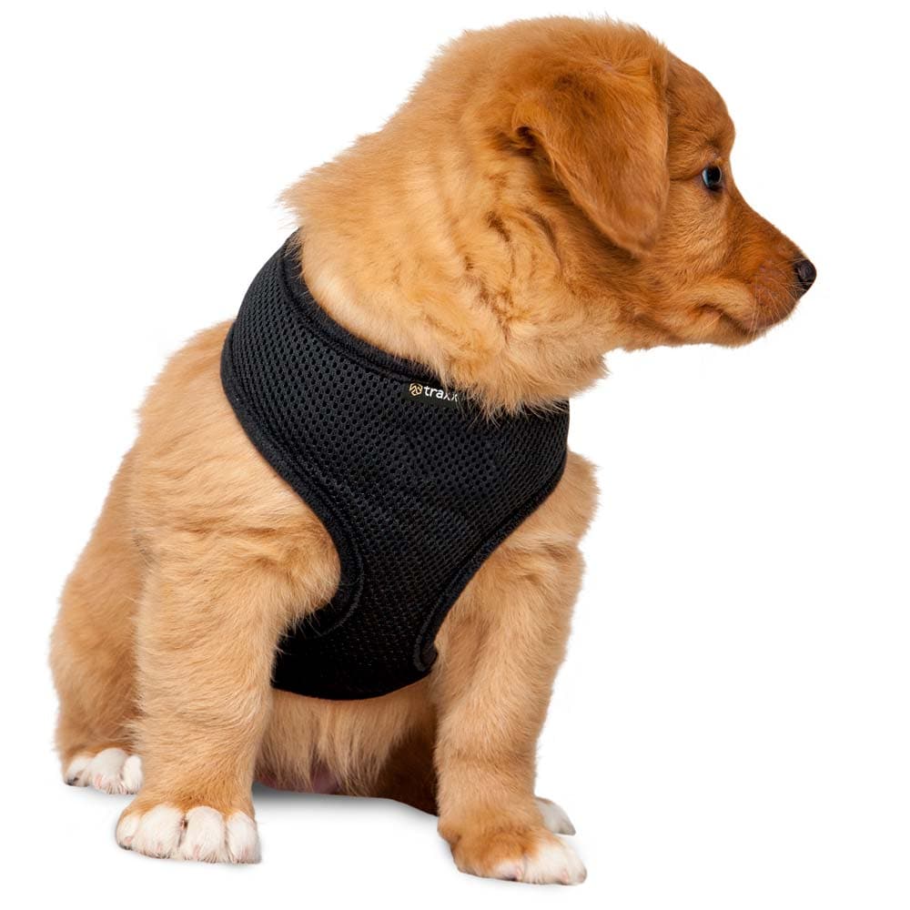 Hundsele  Puppy traxx®