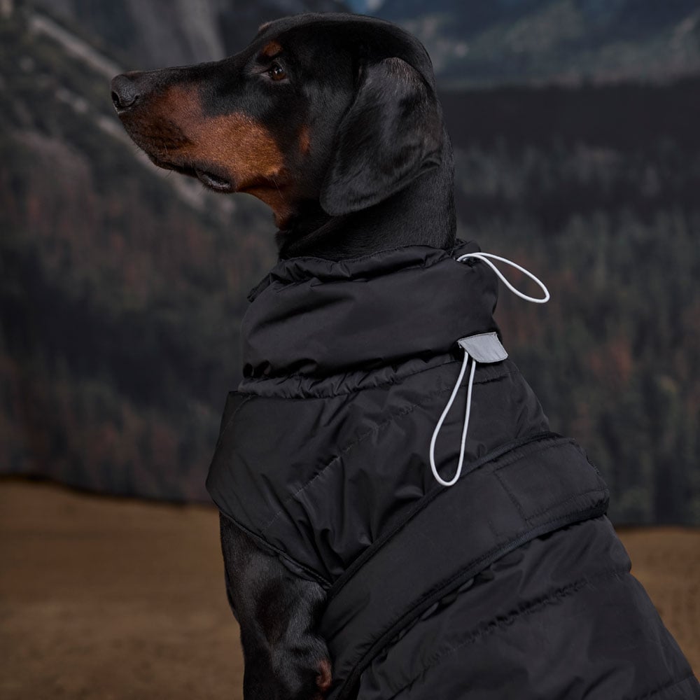 Hundtäcke Warrior JH Collection®