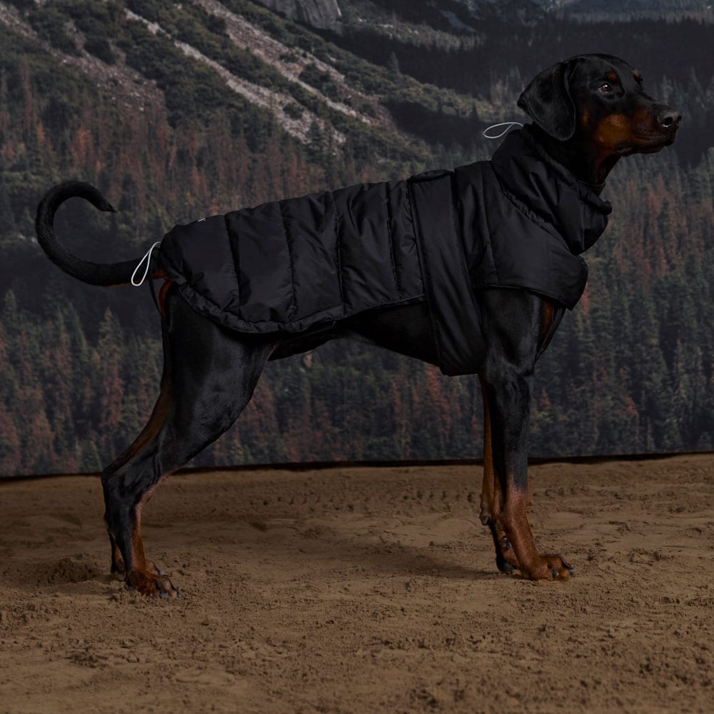 Hundtäcke Warrior JH Collection®