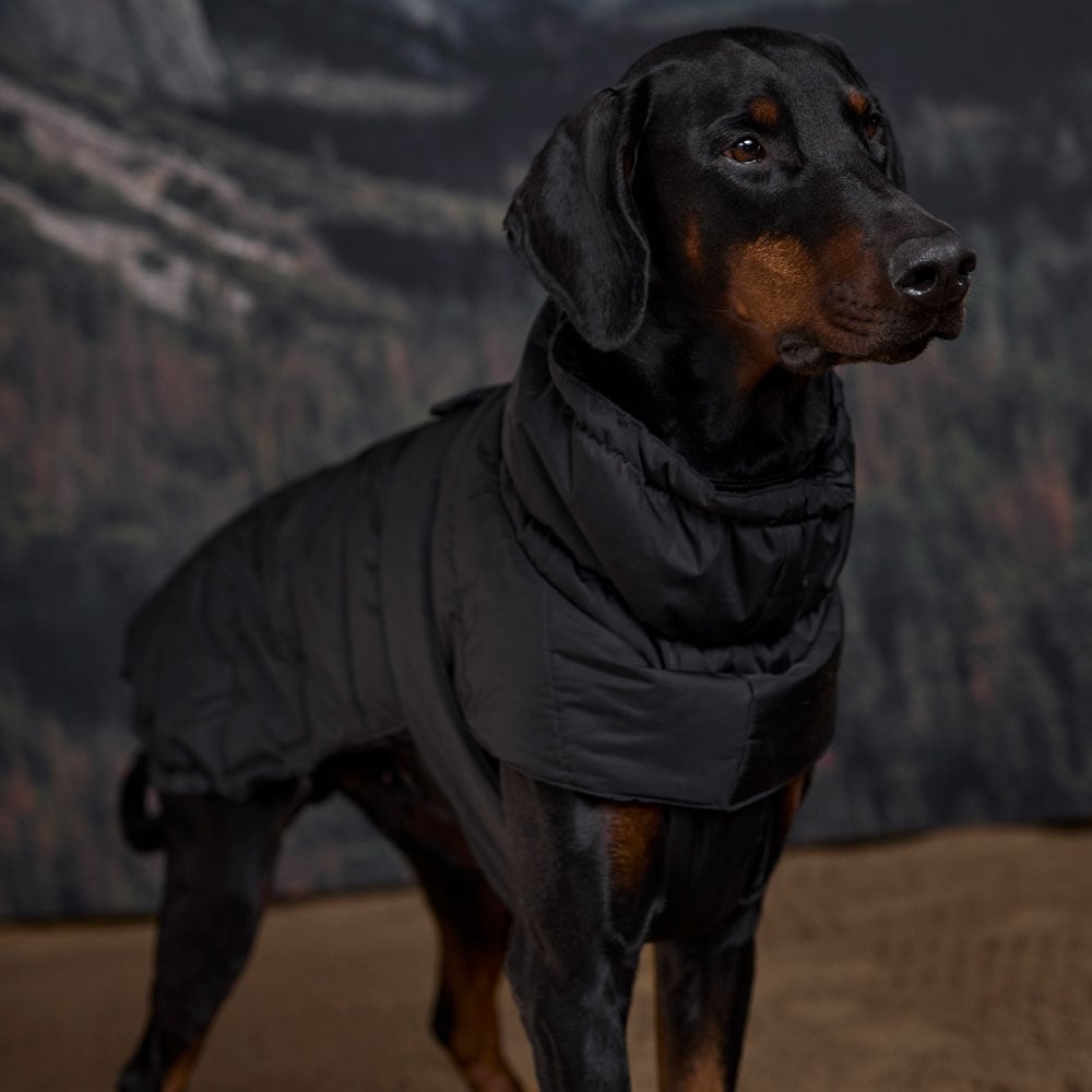 Hundtäcke Warrior JH Collection®