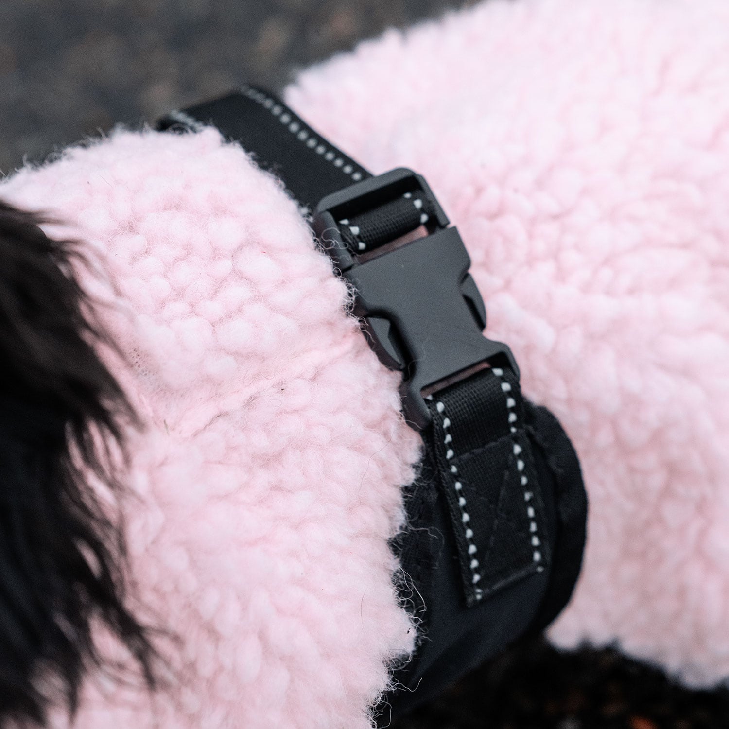 Hundtäcke Dolly traxx®