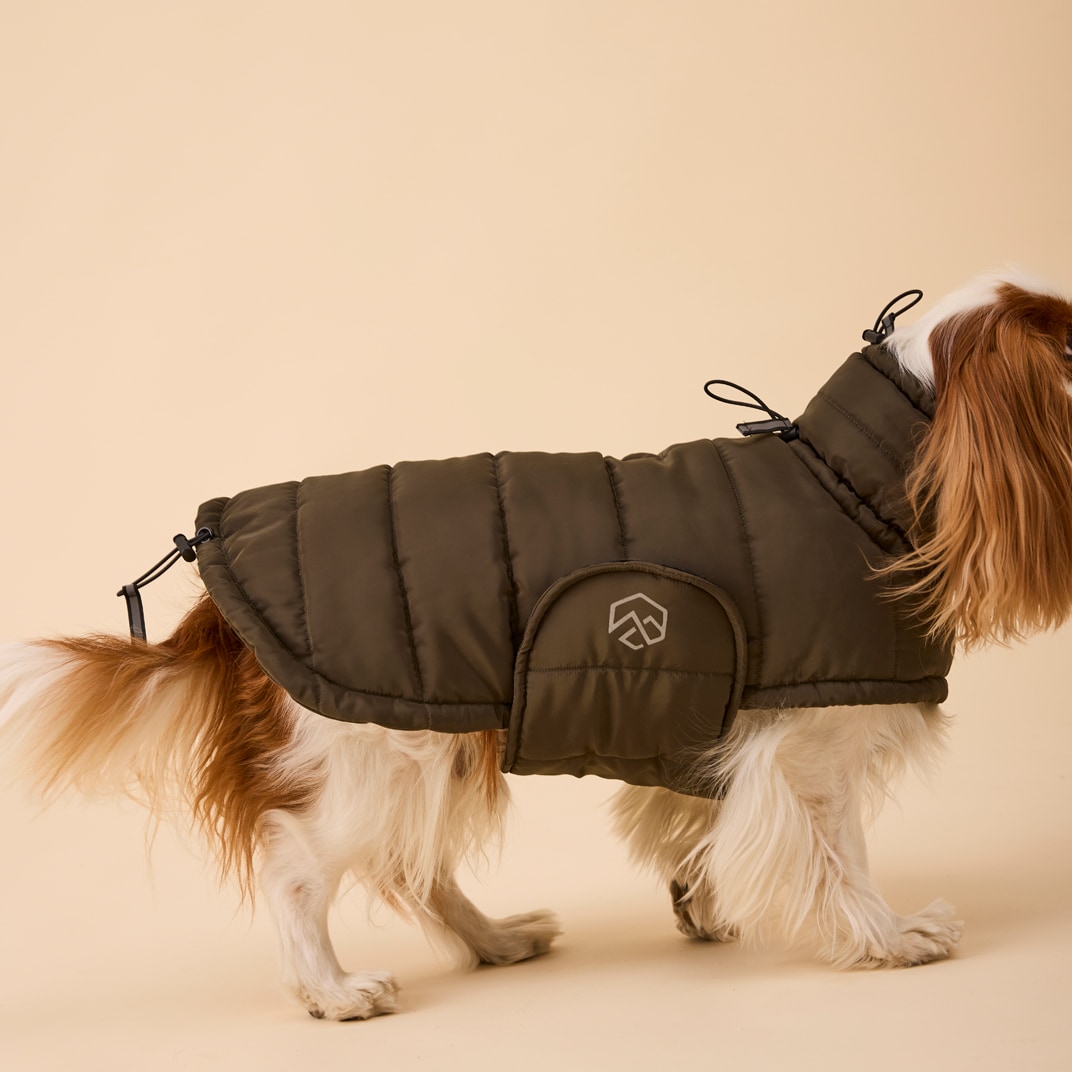Hundtäcke Loco Puffer traxx®