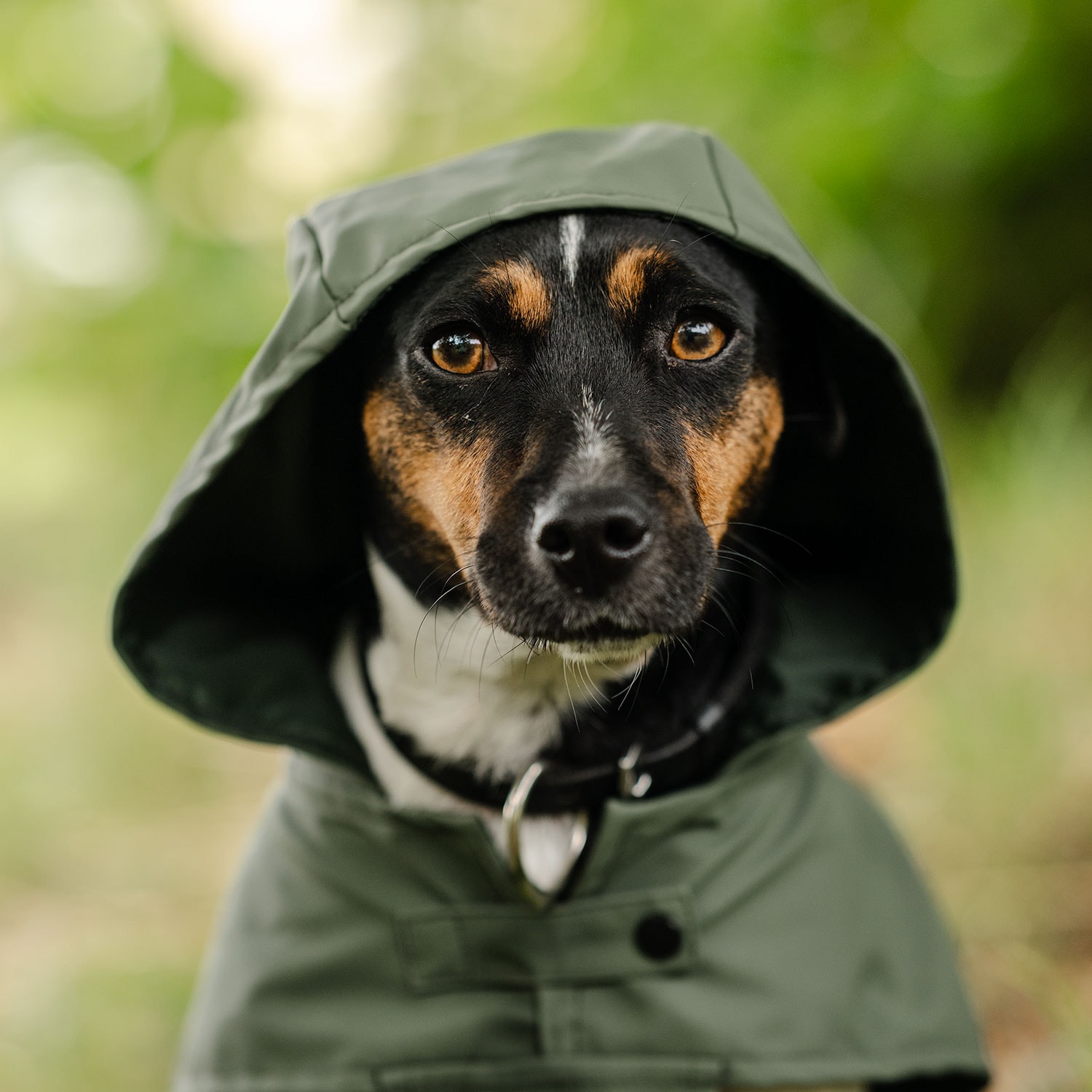 Regntäcke Hund Archy traxx®