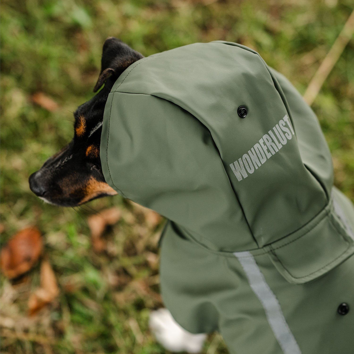 Regntäcke Hund Archy traxx®