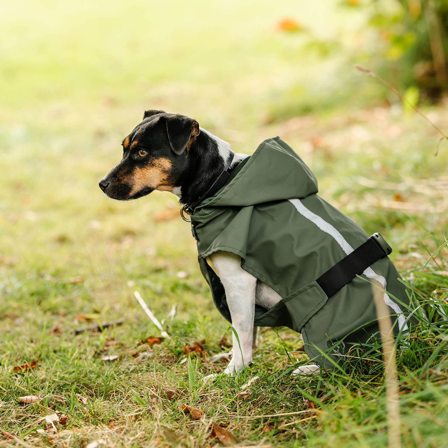 Regntäcke Hund Archy traxx®
