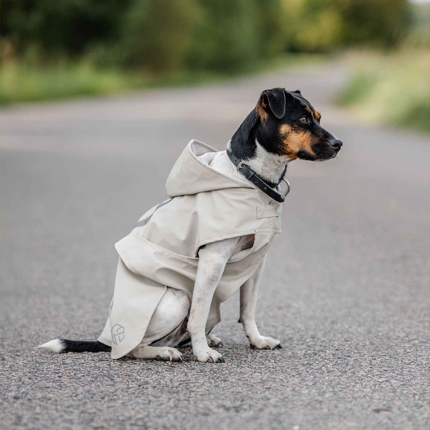 Regntäcke Hund Archy traxx®