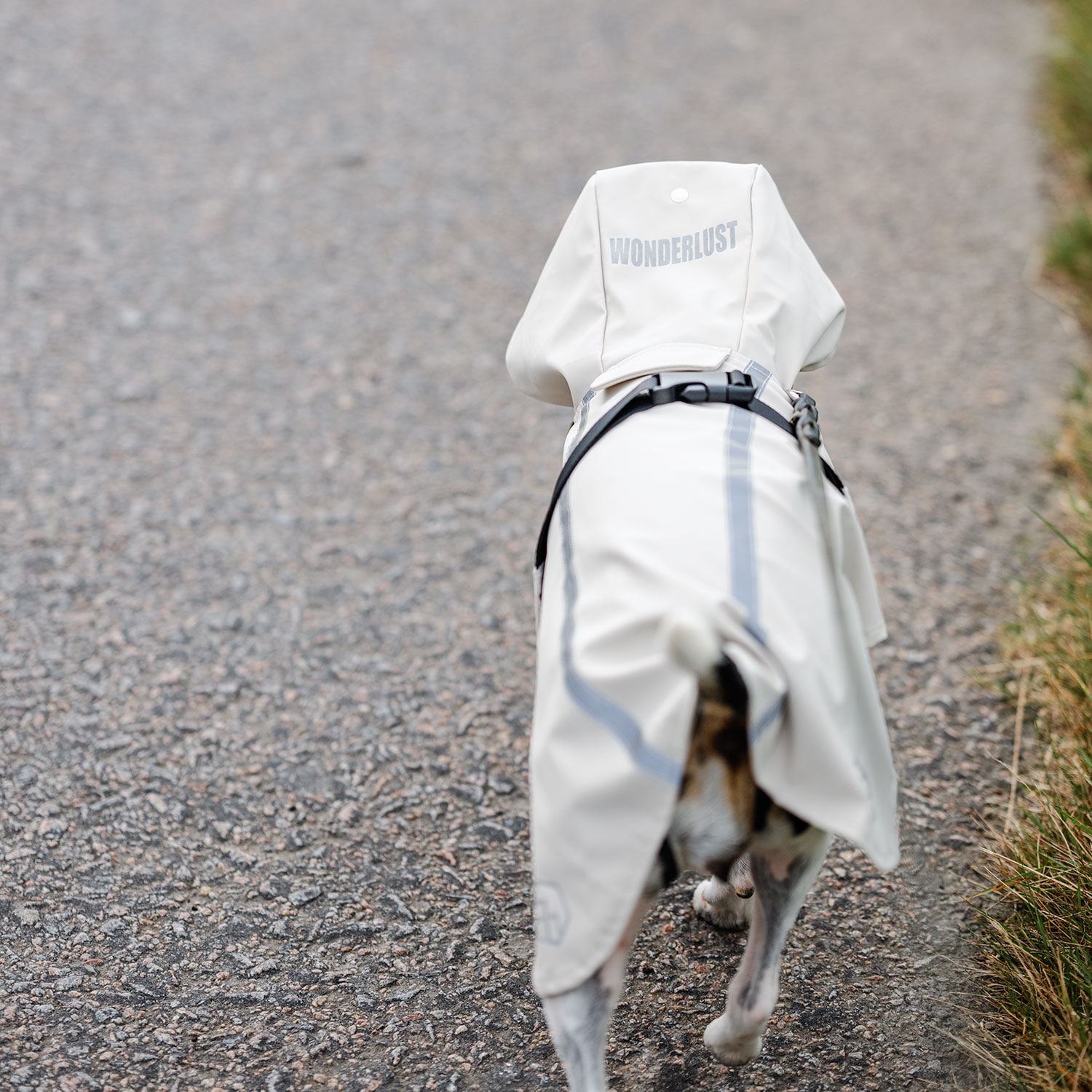 Regntäcke Hund Archy traxx®