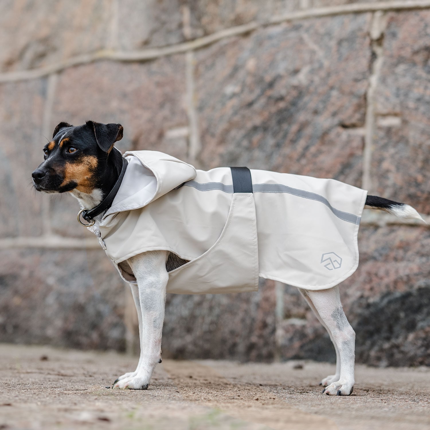 Regntäcke Hund Archy traxx®