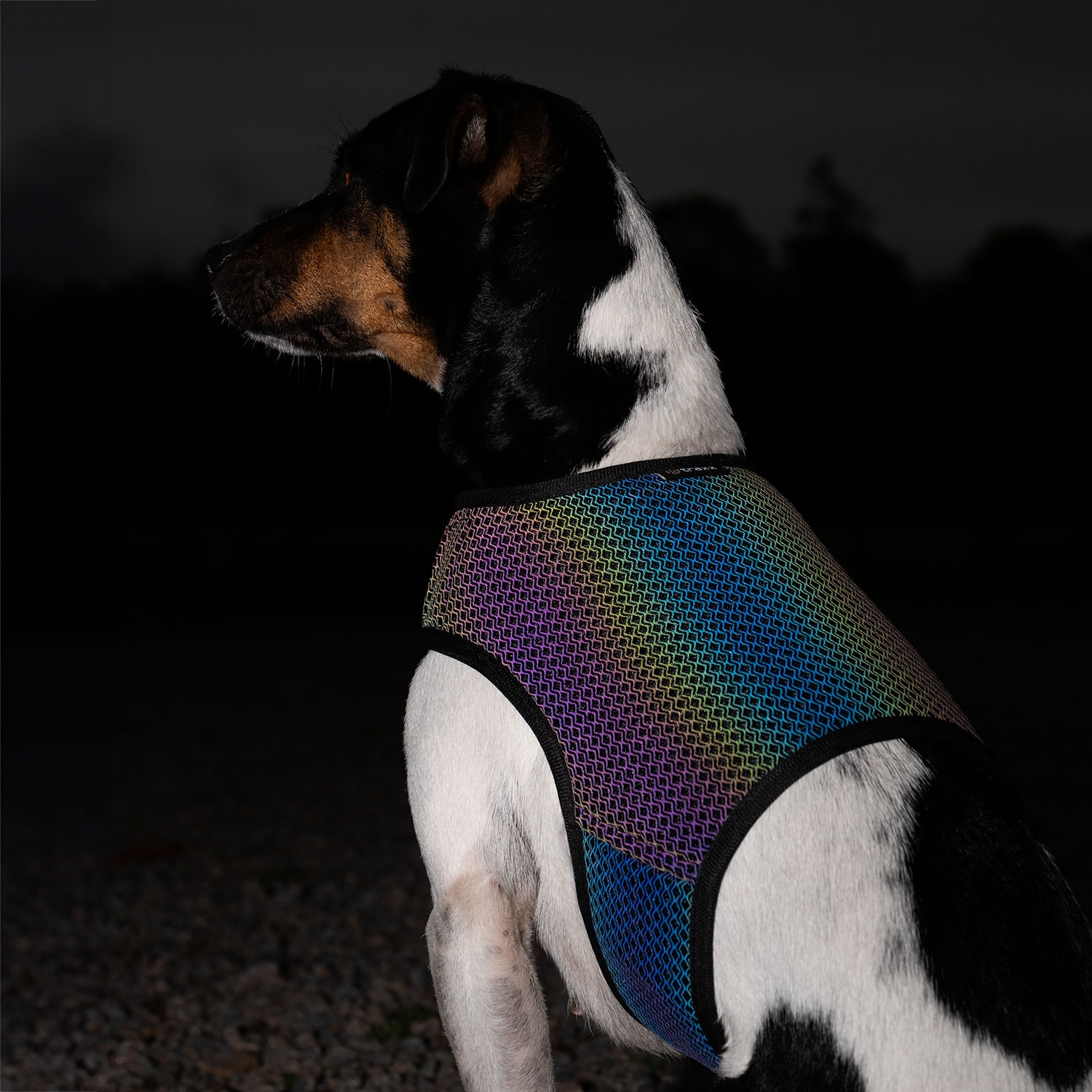 Reflexväst Hund Farid traxx®