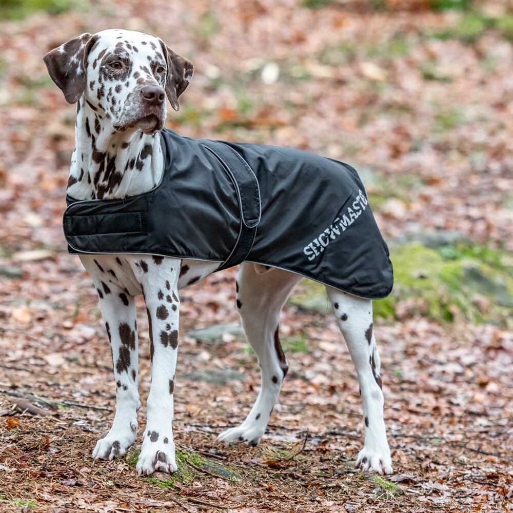 Hundtäcke  Bella Showmaster®