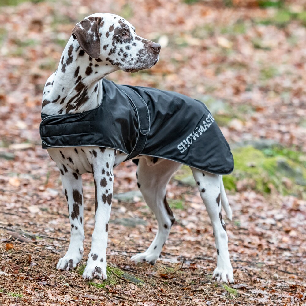 Hundtäcke  Bella Showmaster®