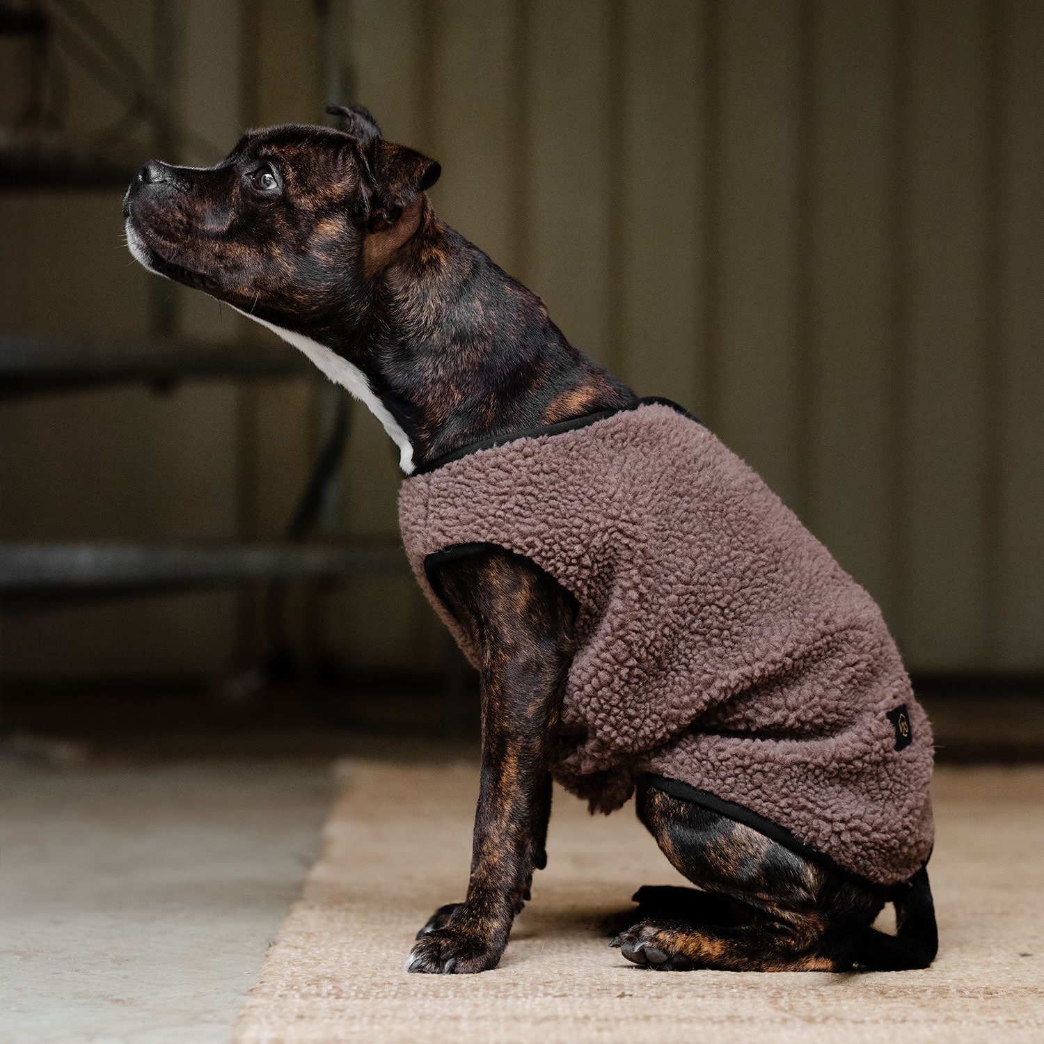 Hundtäcke Fleece Sinclair traxx®