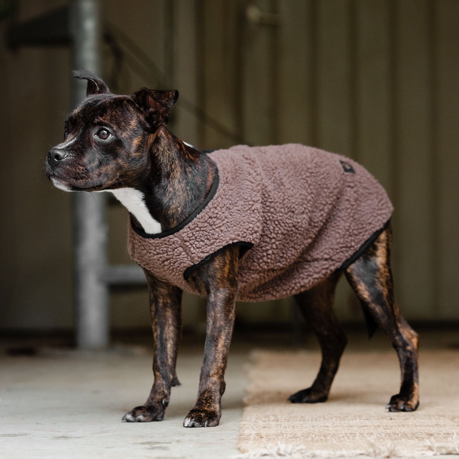 Hundtäcke Fleece Sinclair traxx®