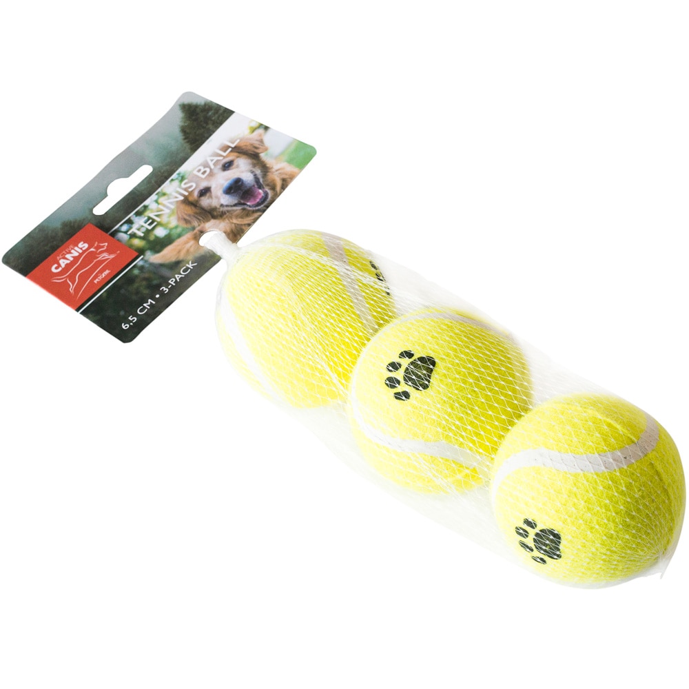 Tennisboll 3-pack  Active Canis