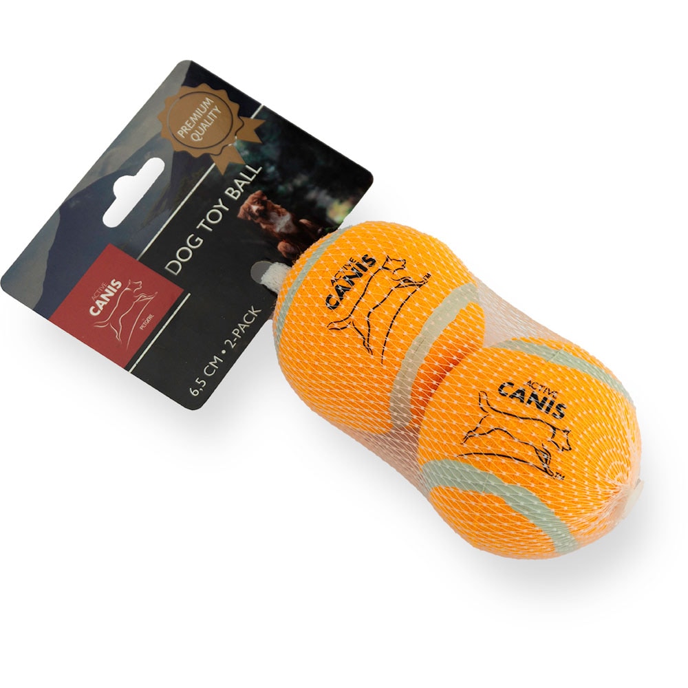 Tennisboll  2-pack Active Canis