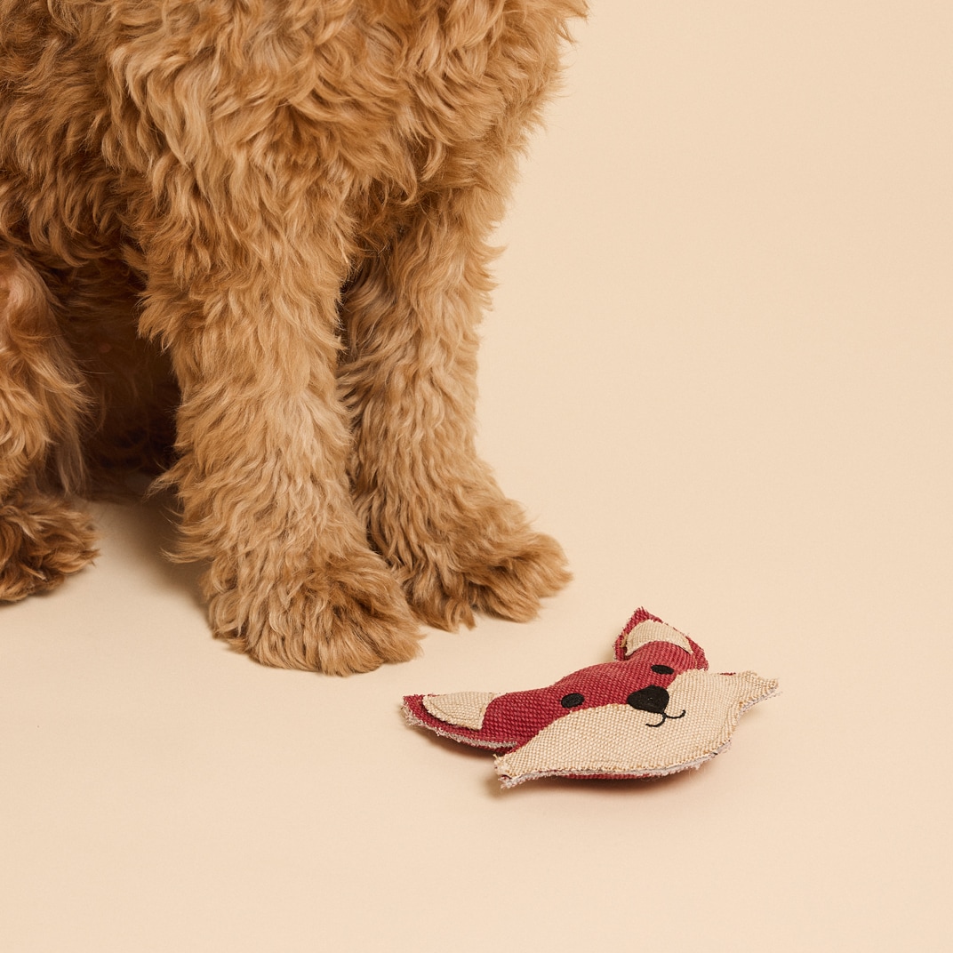 Hundleksak Fox traxx®
