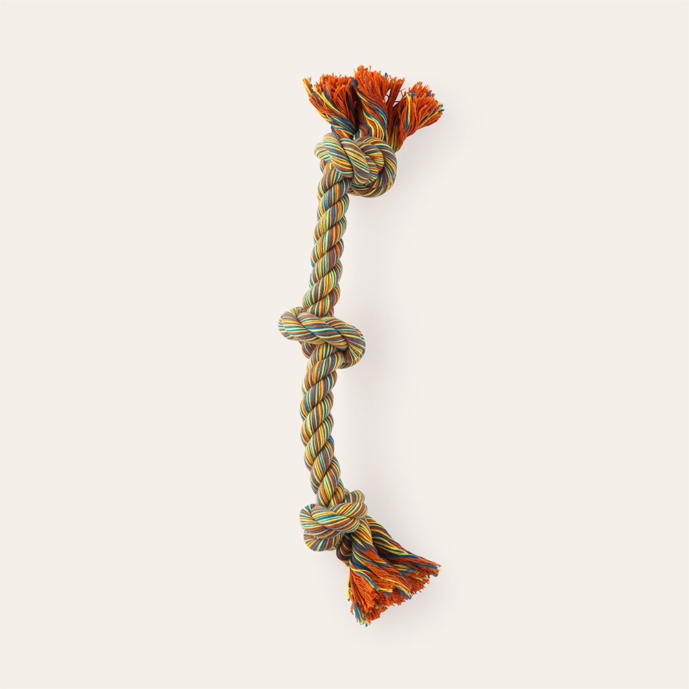 Hundleksak  Traxx Kadi Dogtoy traxx®
