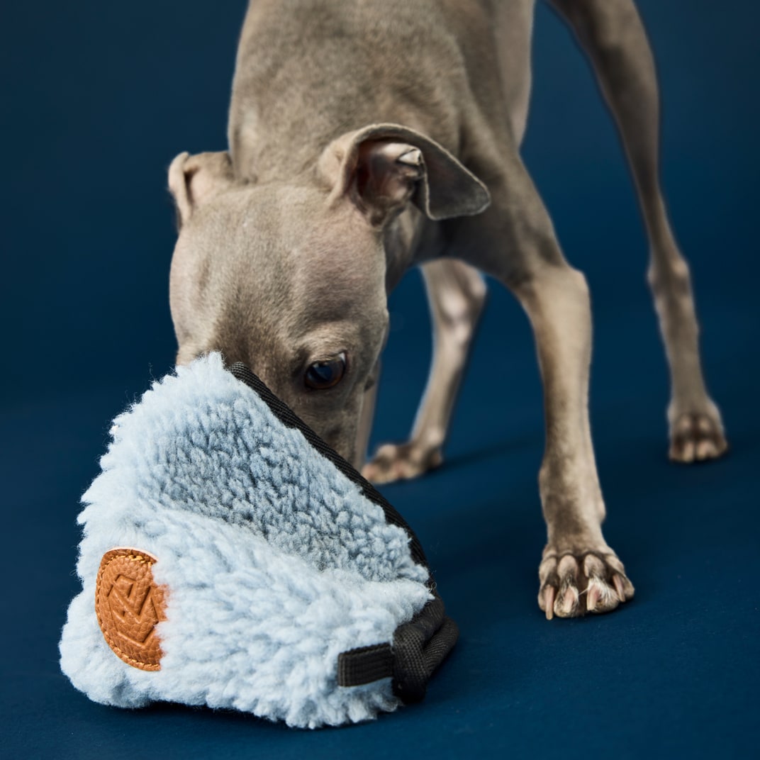 Aktivitetsleksak Hund Candy hide traxx®