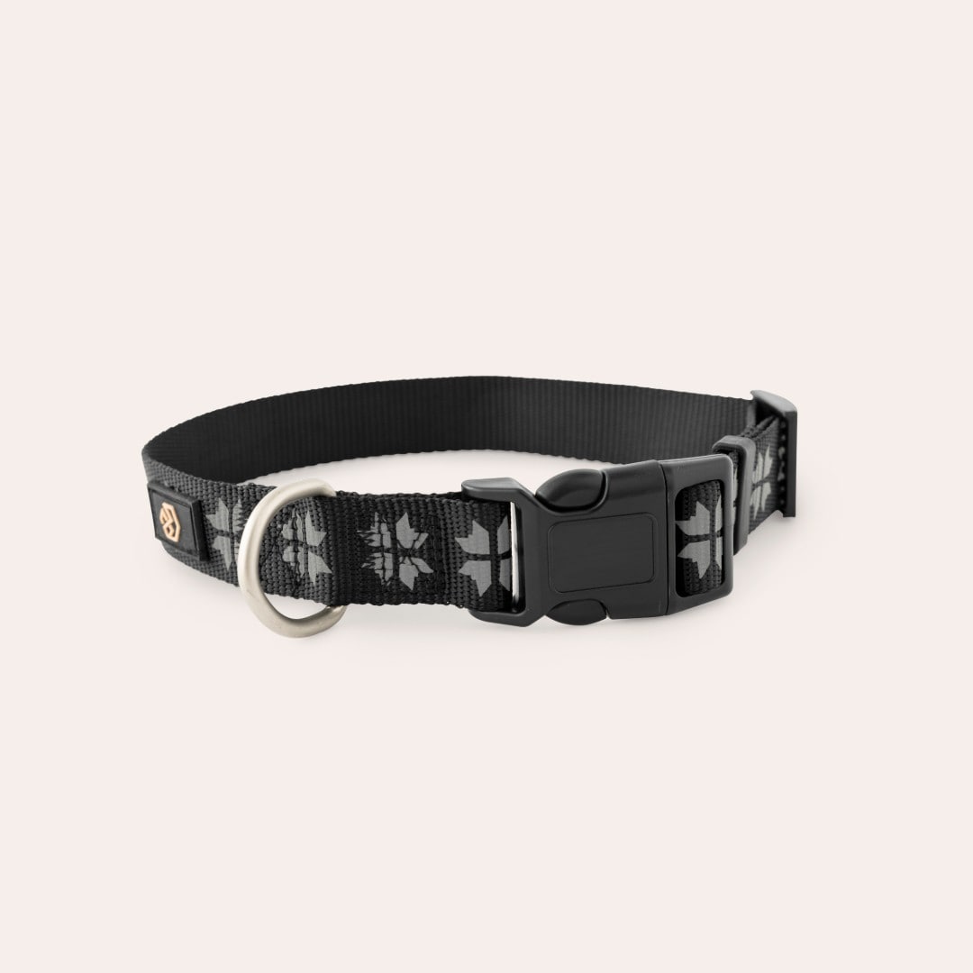 Reflexhalsband Hund Kelso traxx®